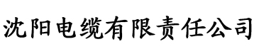 香蕉视频超污电缆厂logo